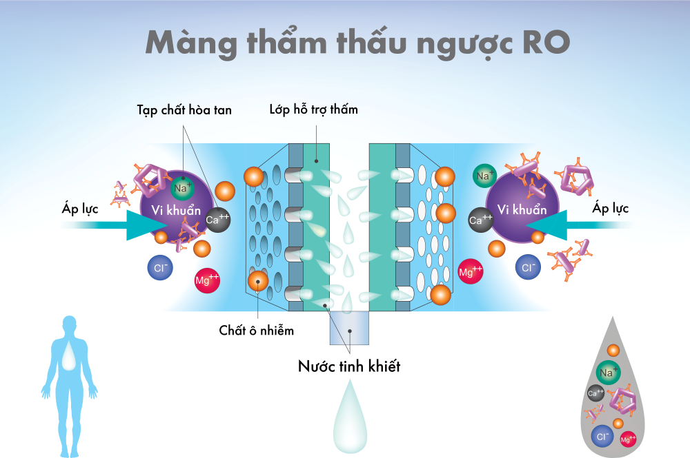 Màng lọc thẩm thấu ngược RO